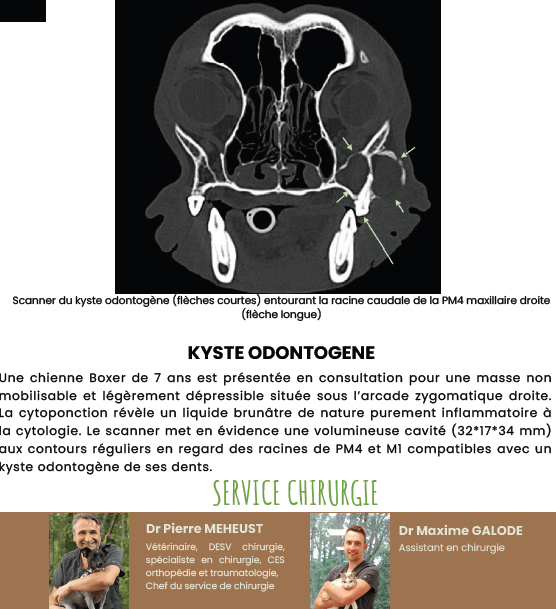 Partage La newsletter de Vétocéane n°7