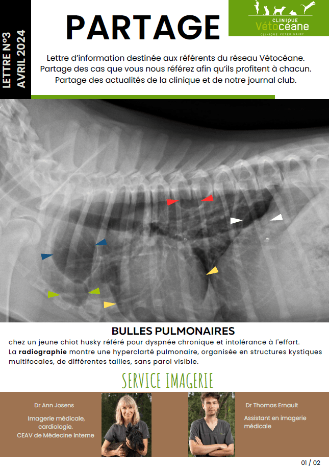 Partage 3 page 1 Bulles pulmonaires