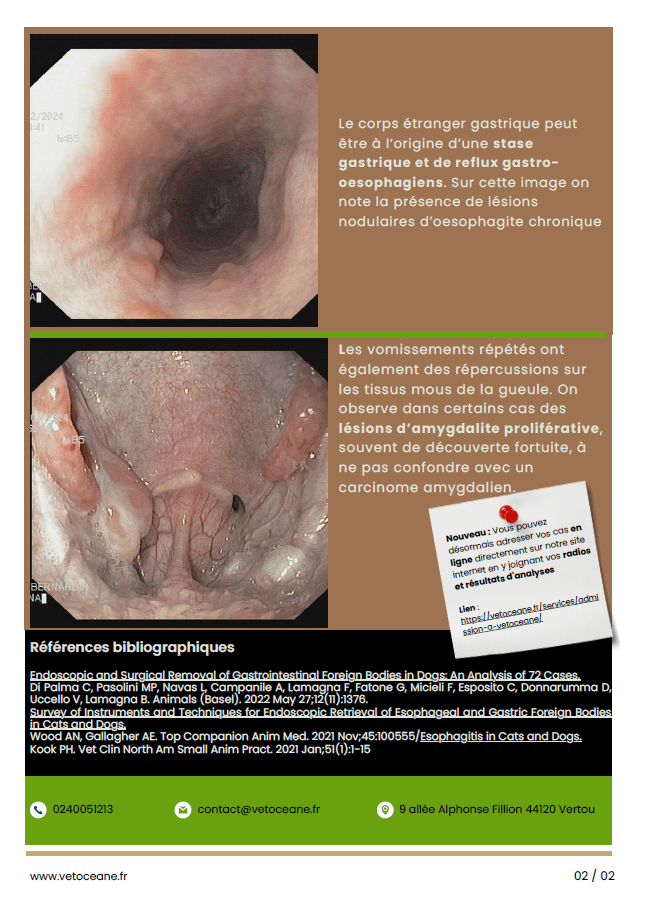 Partage 4 page 2 Gastroscopie