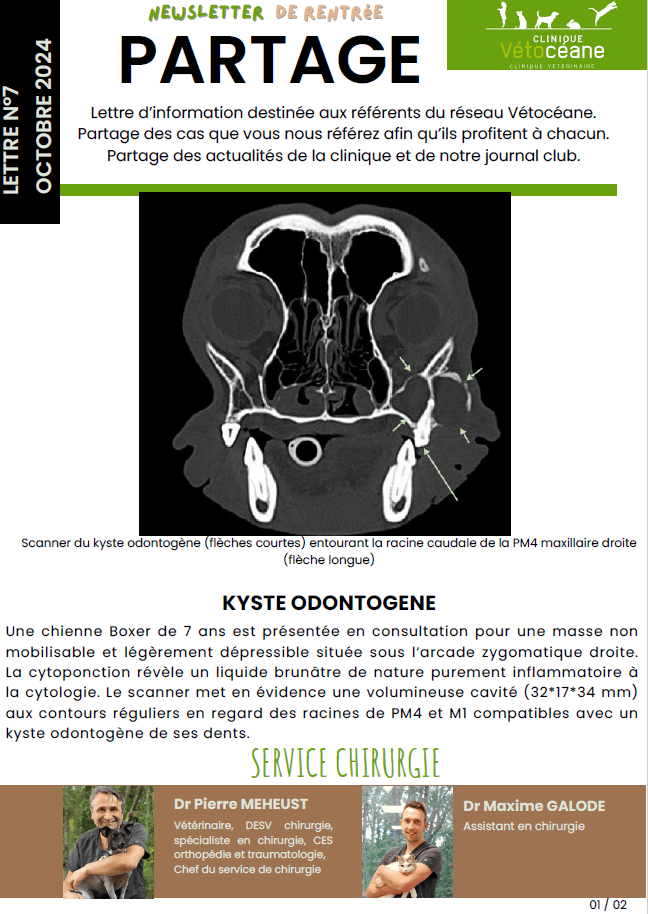Partage 6 page 1 Kyste odontogène