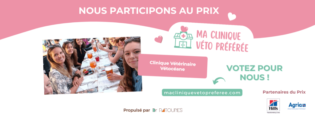 Ma clinique véto préférée Vétocéane