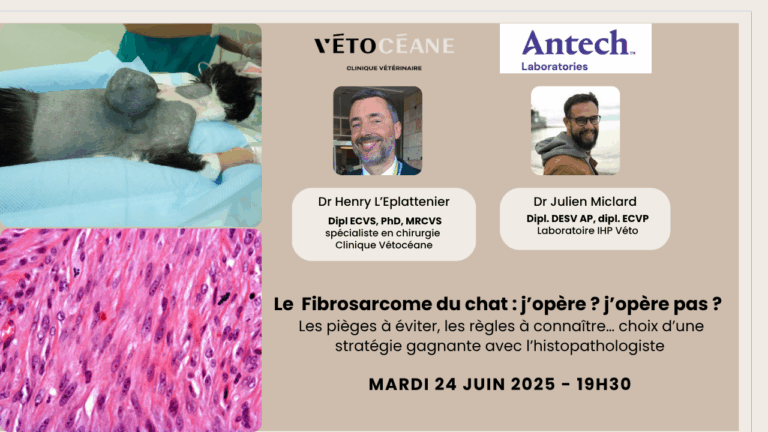 Soirée confraternelle sur le fibrosarcome du chat avec le Dr L'Eplattenier et Antech le 24 juin