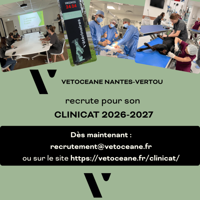 Clinicat rotatoire Vétocéane 2026-27