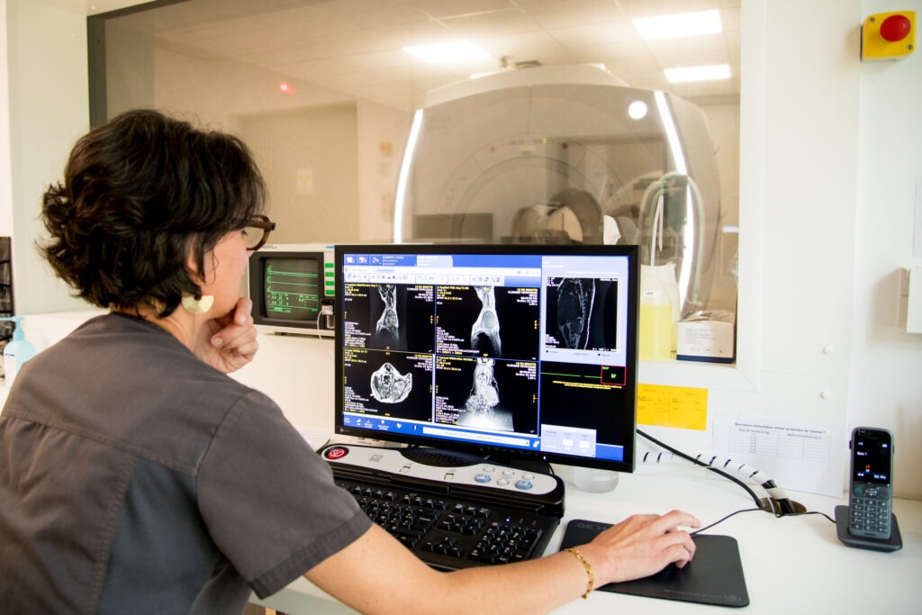 Examen d'IRM vétérinaire en cours