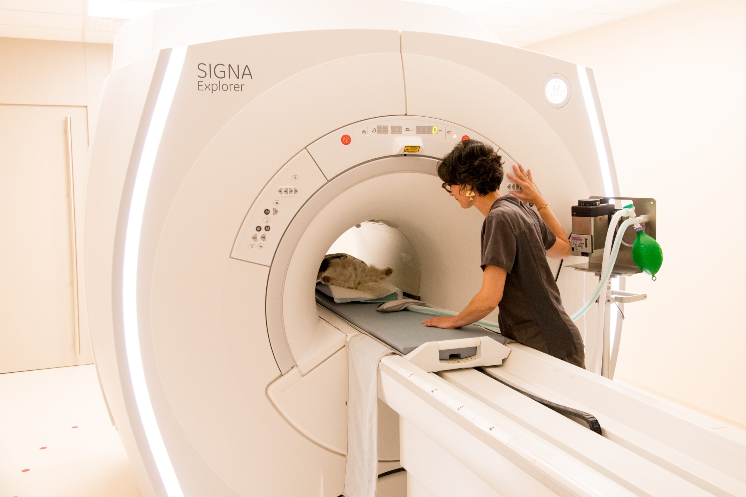 Installation du patient dans l'IRM à Vétocéane