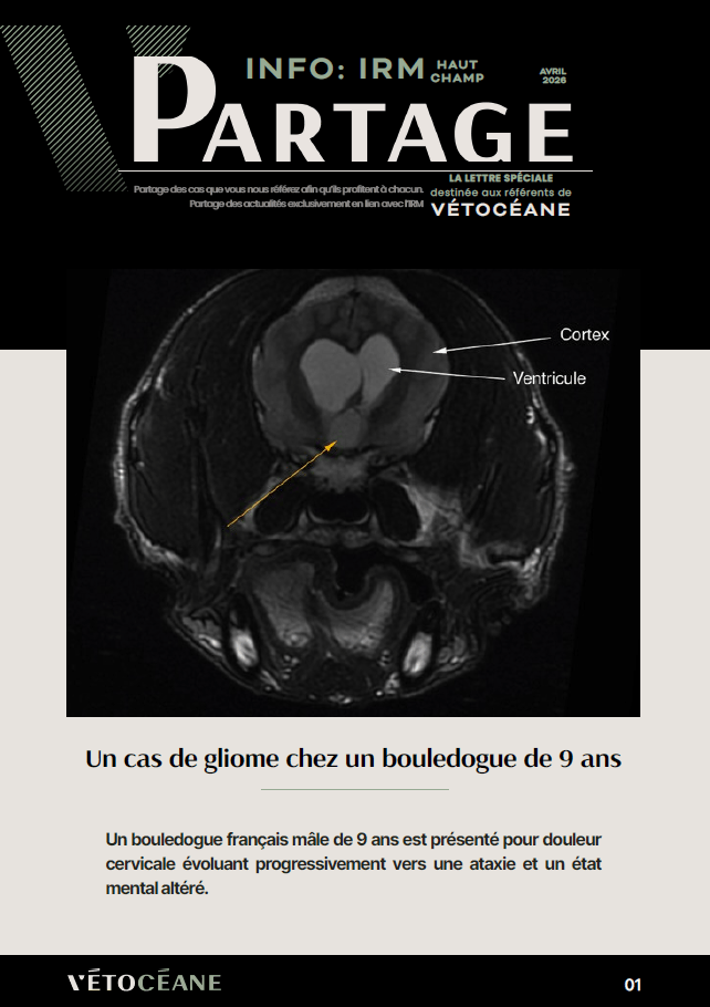 Partage IRM 2 page 1