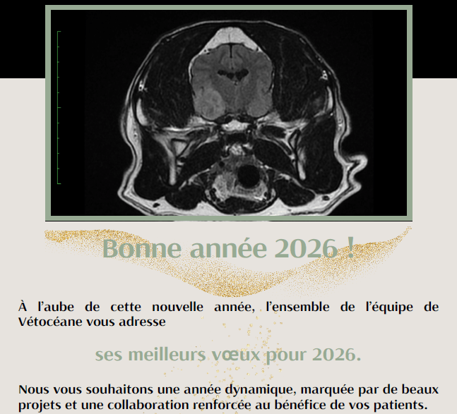 Partage La newsletter de Vétocéane n°9