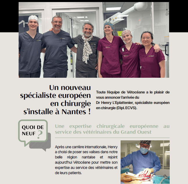 Partage La newsletter de Vétocéane n°10