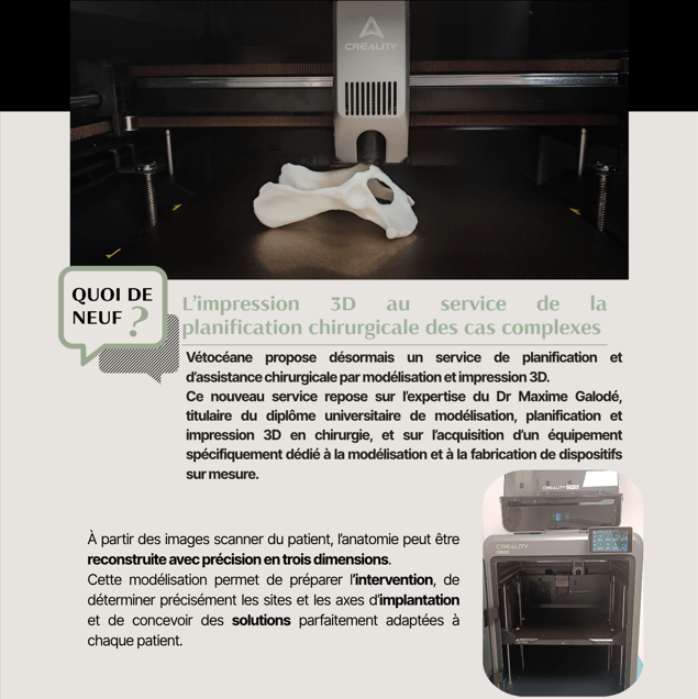 Partage La newsletter de Vétocéane n°11