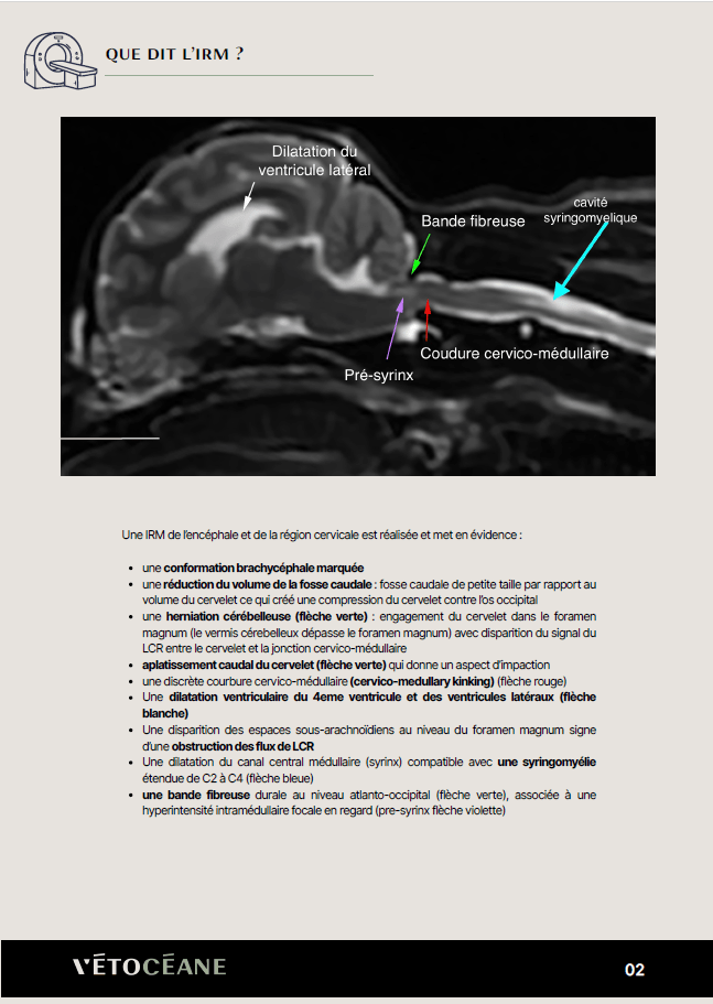 Partage IRM 4 page 2