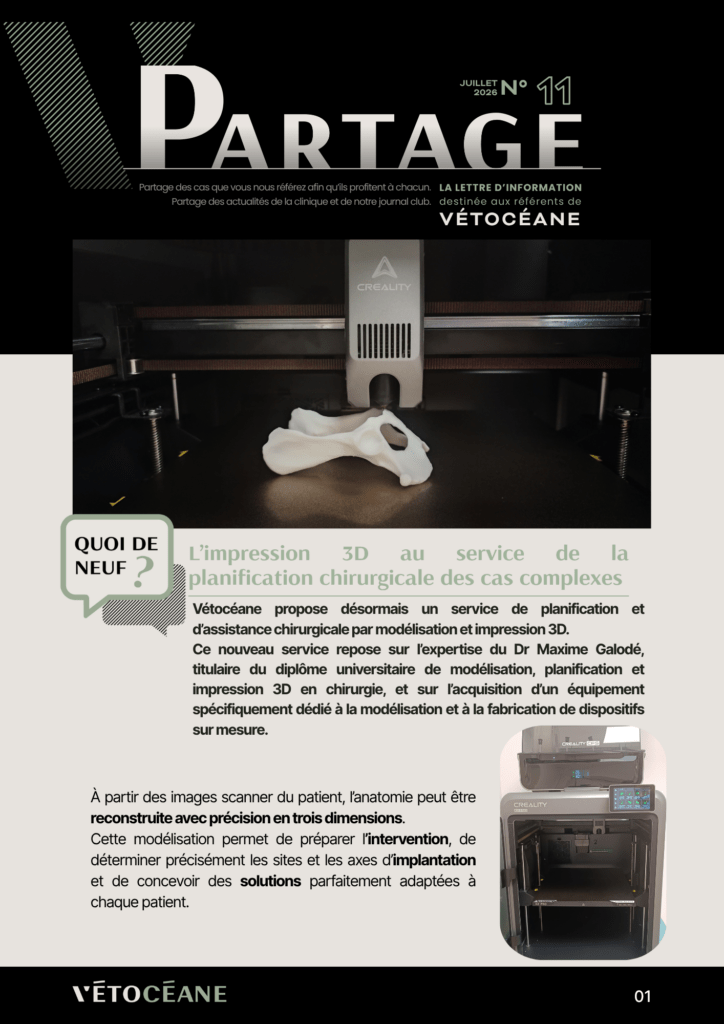Partage 11 page 1 L'impression 3D