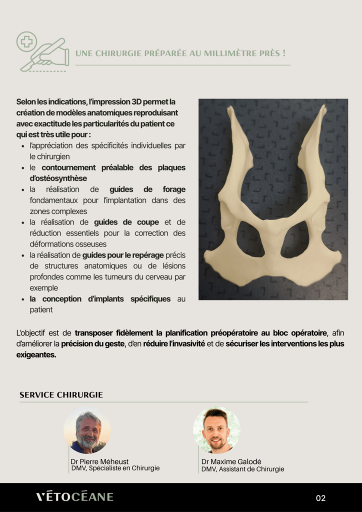 Partage 11 page 2 L'impression 3D