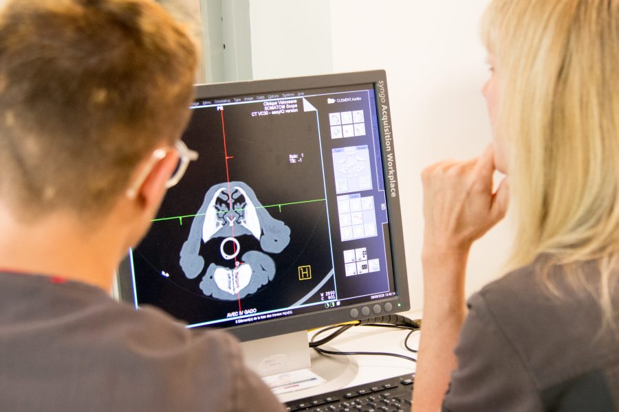 Service d'imagerie vétérinaire de Vétocéane